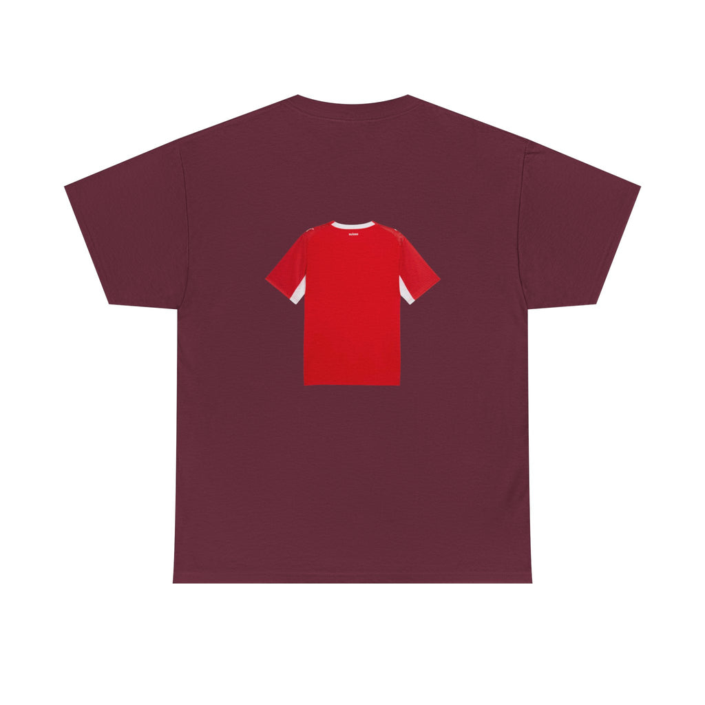 Switzerland World Cup Jersey Shirt