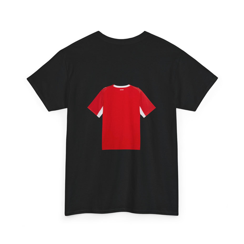 Switzerland World Cup Jersey Shirt